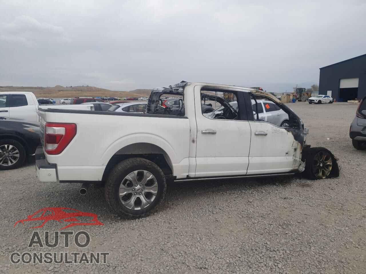 FORD F-150 2023 - 1FTFW1E8XPFA00902