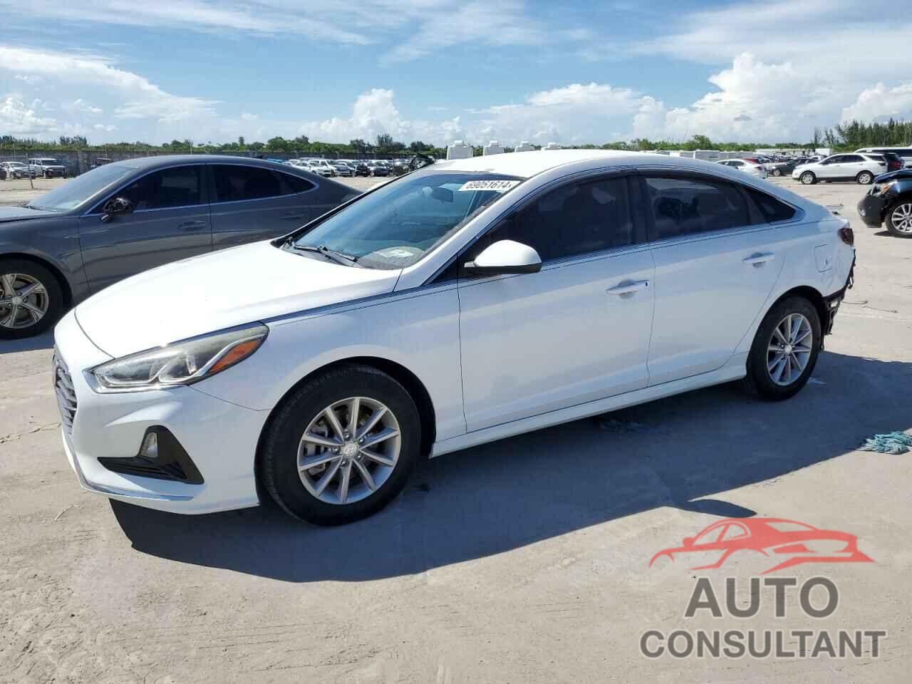 HYUNDAI SONATA 2019 - 5NPE24AF2KH749107