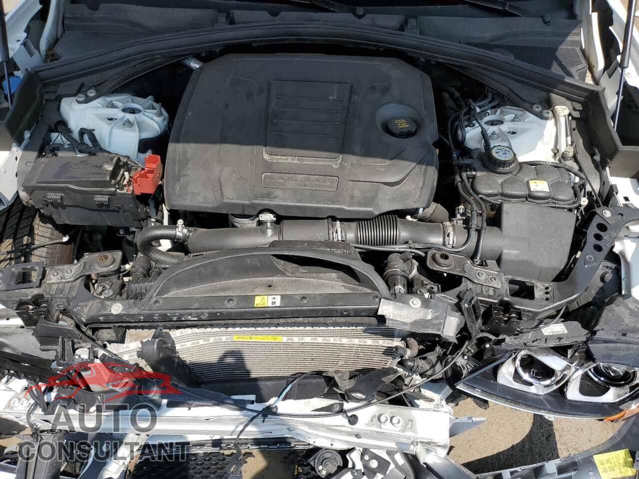 JAGUAR F-PACE 2019 - SADCK2FX8KA395554