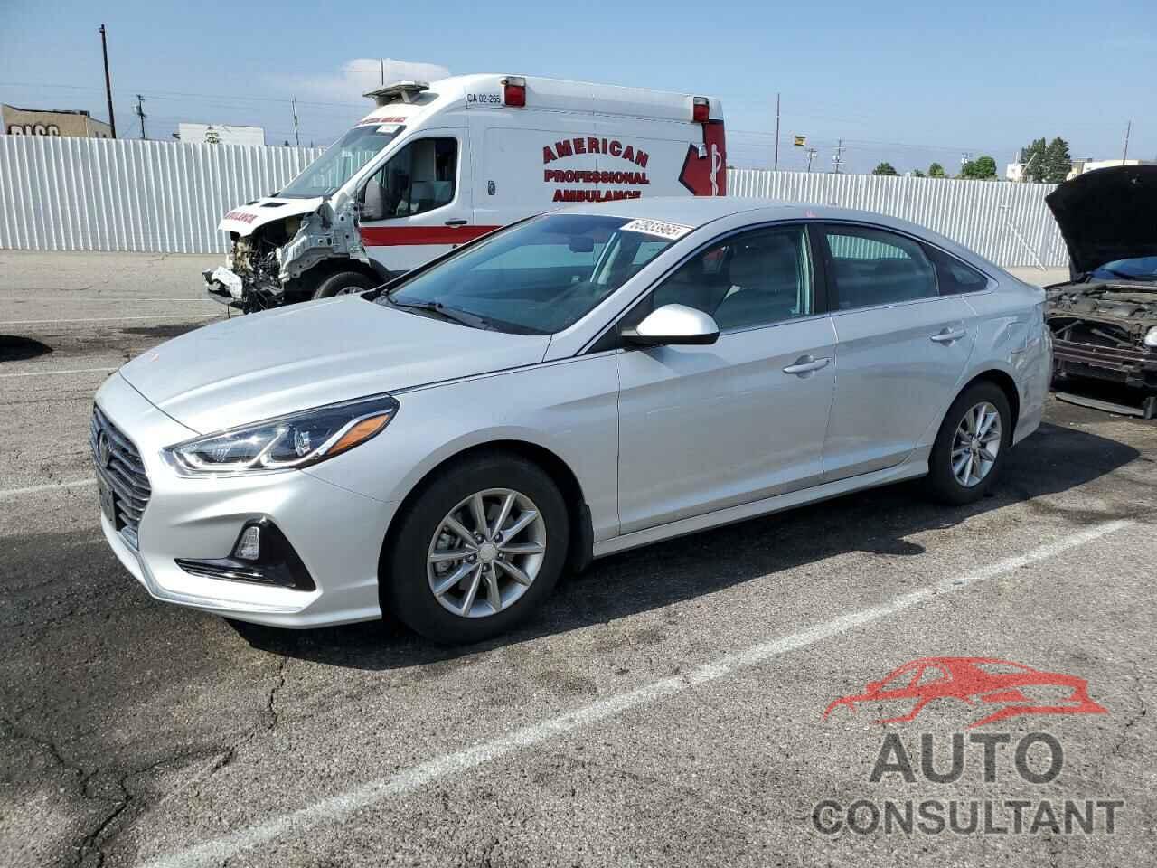 HYUNDAI SONATA 2019 - 5NPE24AF8KH804840