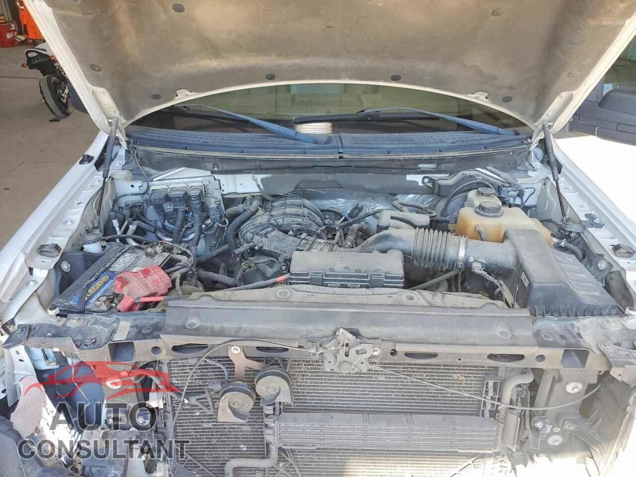 FORD All Models 2013 - 1FTMF1EMXDKF81423