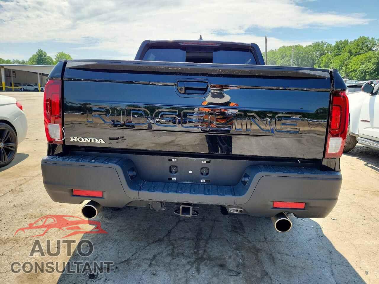 HONDA RIDGELINE 2024 - 5FPYK3F59RB026216