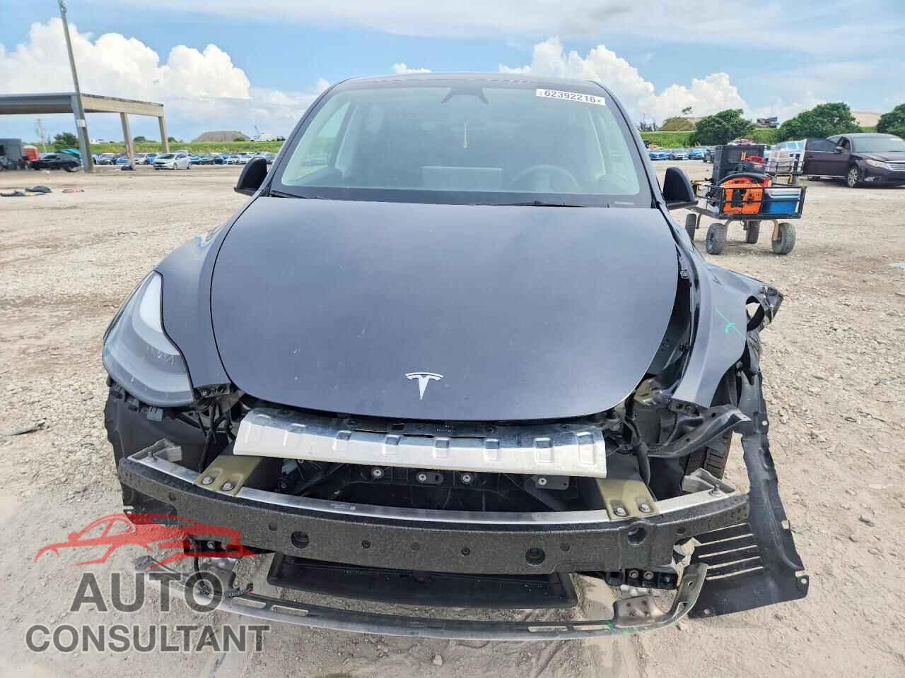 TESLA MODEL Y 2024 - 7SAYGDED9RF056098