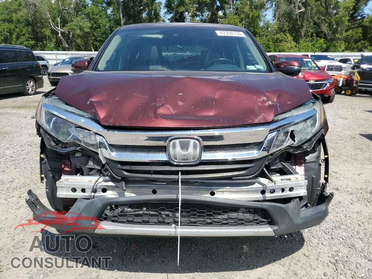 HONDA PILOT 2019 - 5FNYF5H5XKB044896