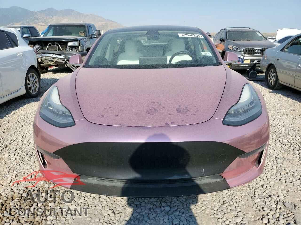 TESLA MODEL 3 2019 - 5YJ3E1EA3KF417705