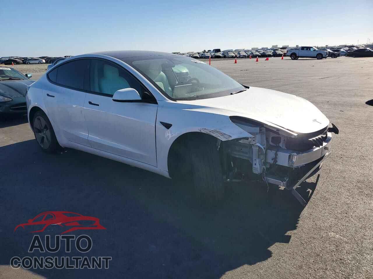 TESLA MODEL 3 2021 - 5YJ3E1EA2MF096694