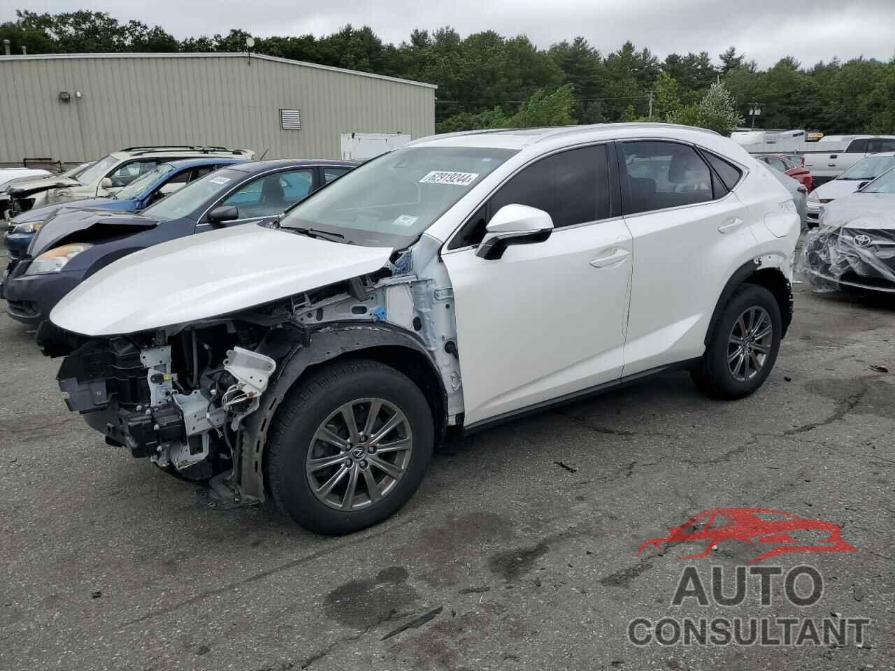 LEXUS NX 2019 - JTJYARBZ7K2157285