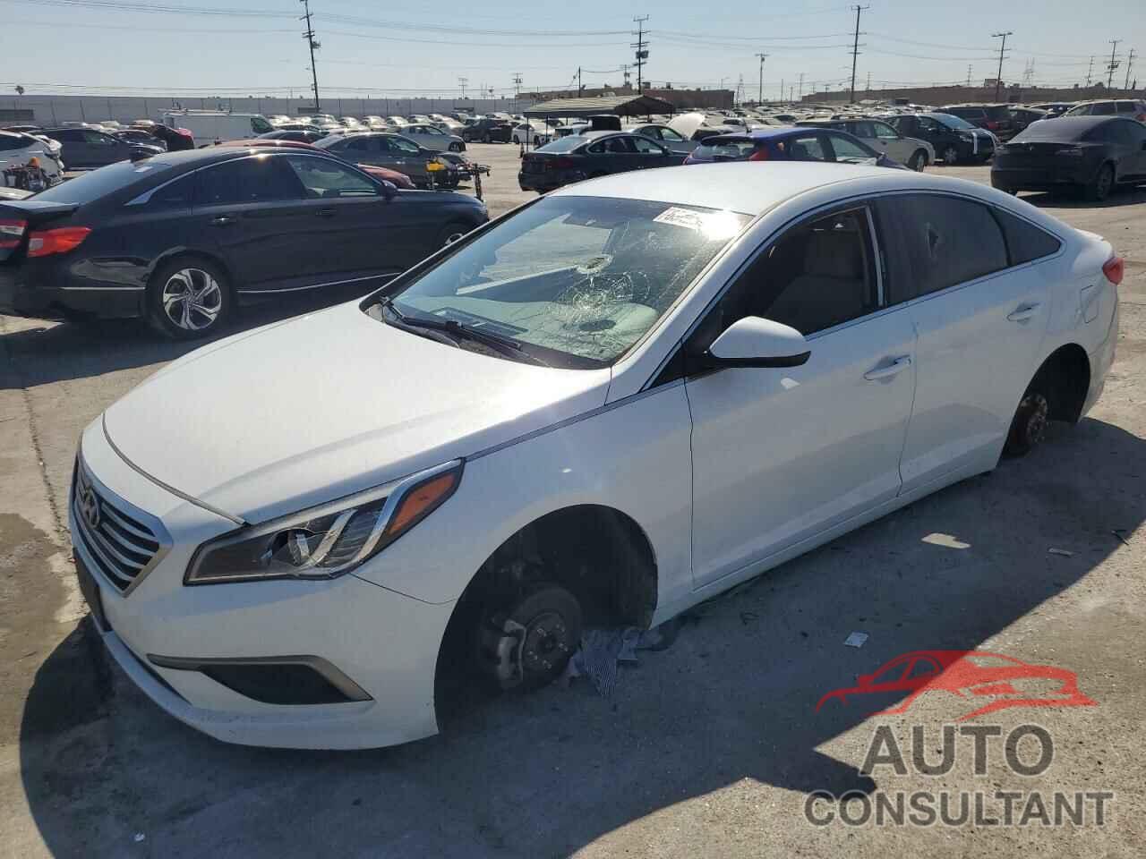 HYUNDAI SONATA 2017 - 5NPE24AF6HH559366