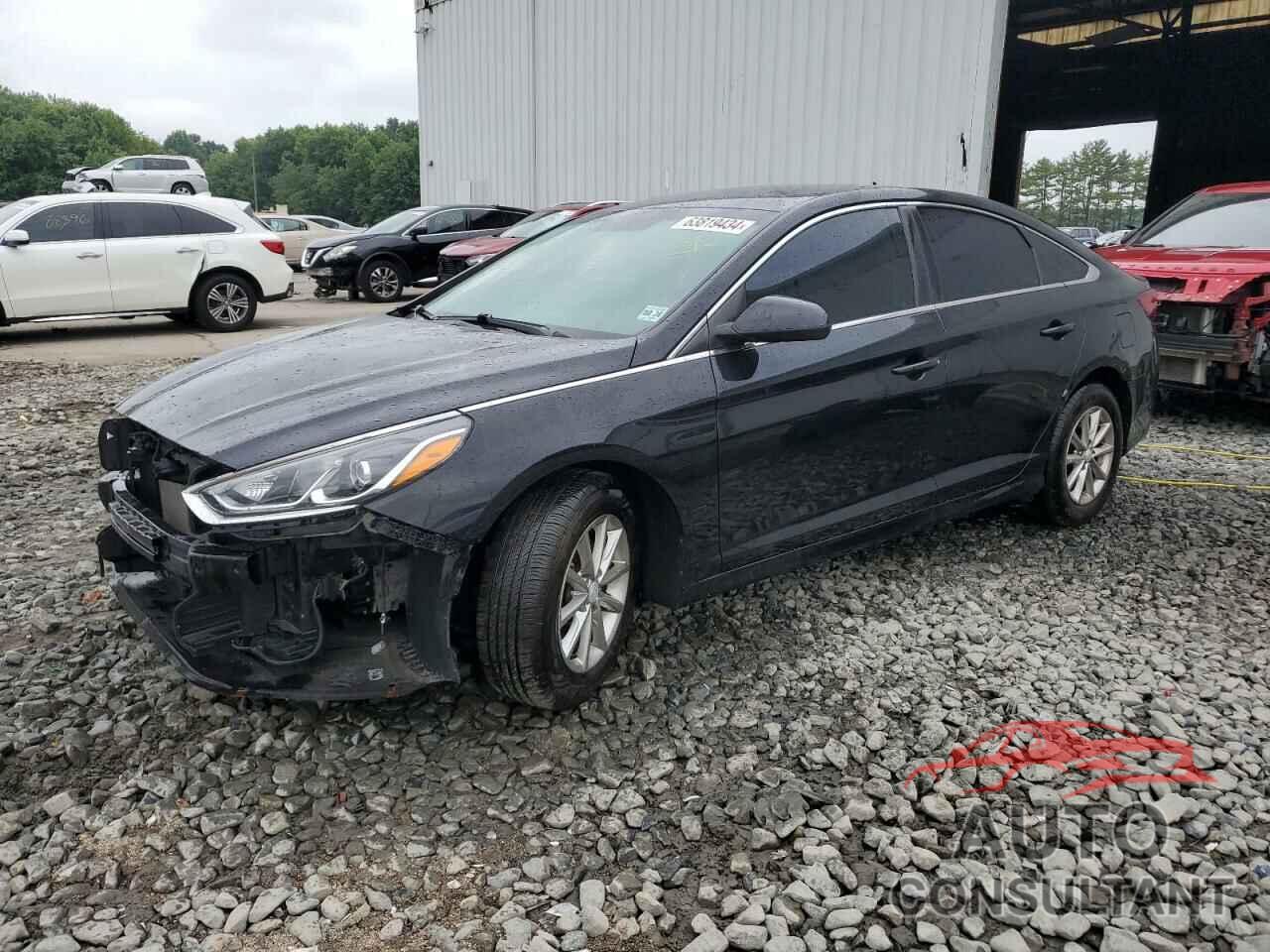 HYUNDAI SONATA 2019 - 5NPE24AF2KH733859