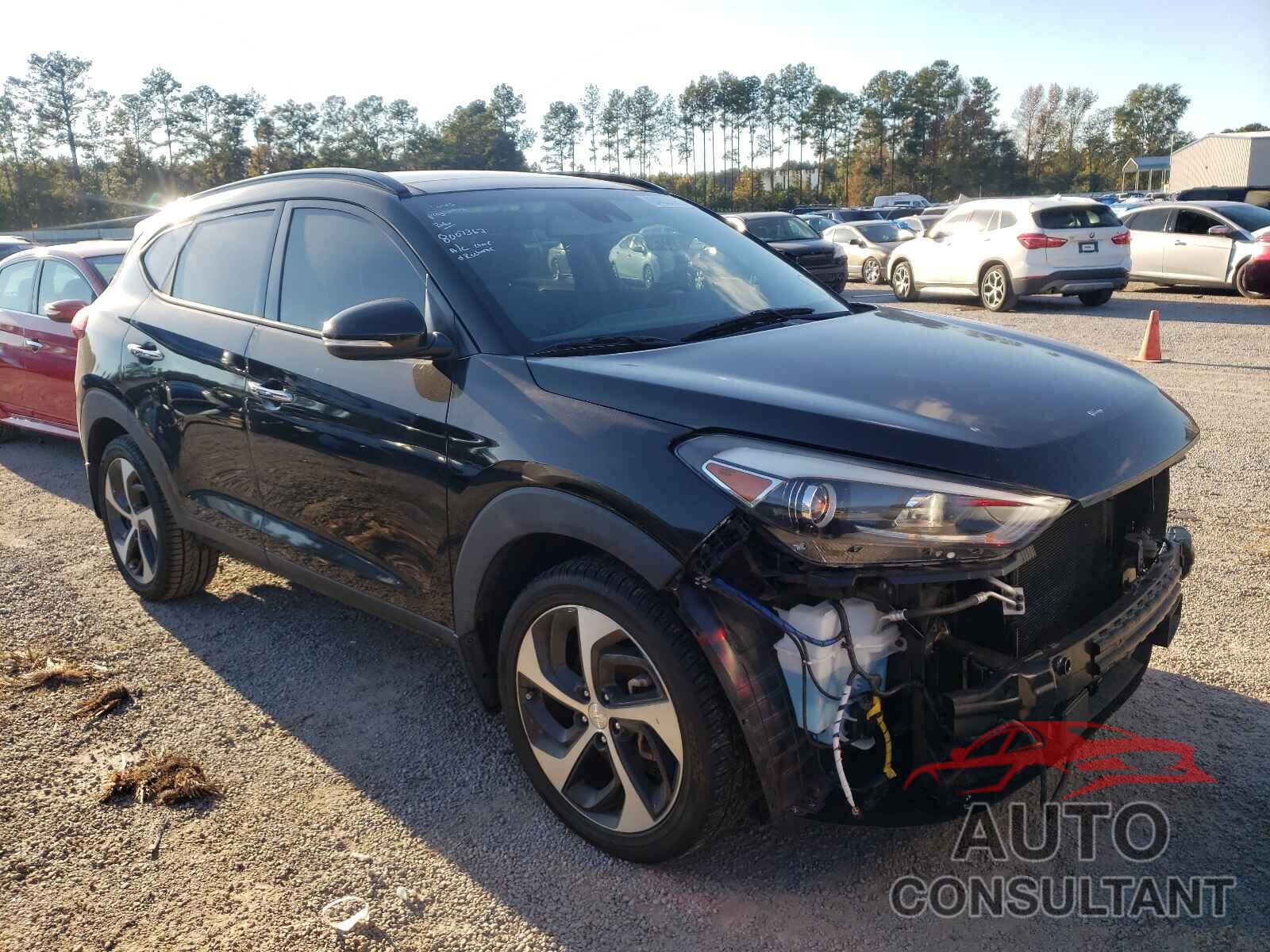 HYUNDAI TUCSON 2017 - KM8J33A28HU303606