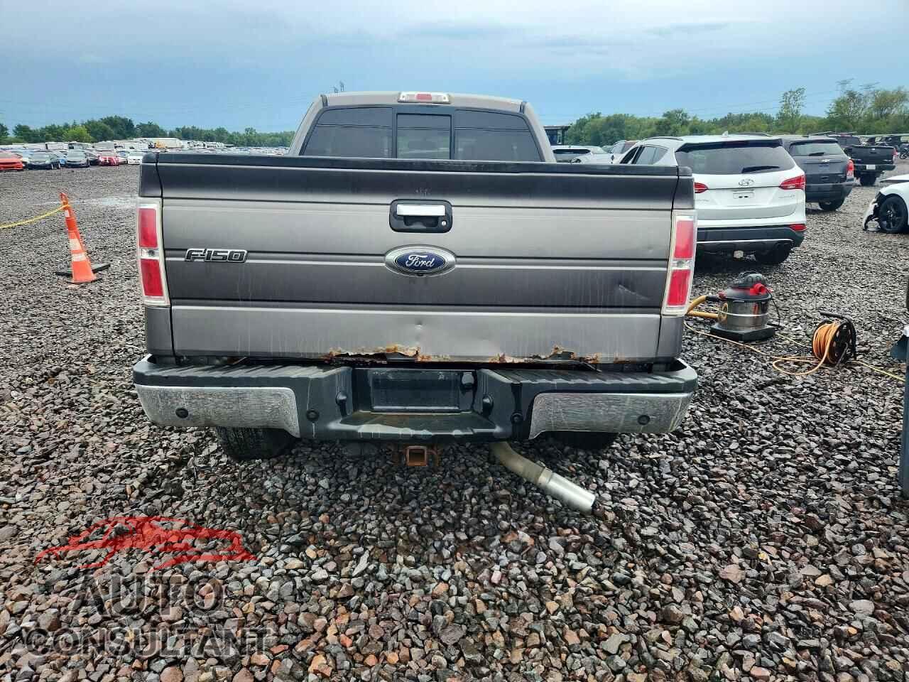 FORD F150 2013 - 1FTFX1ET9DFD96334