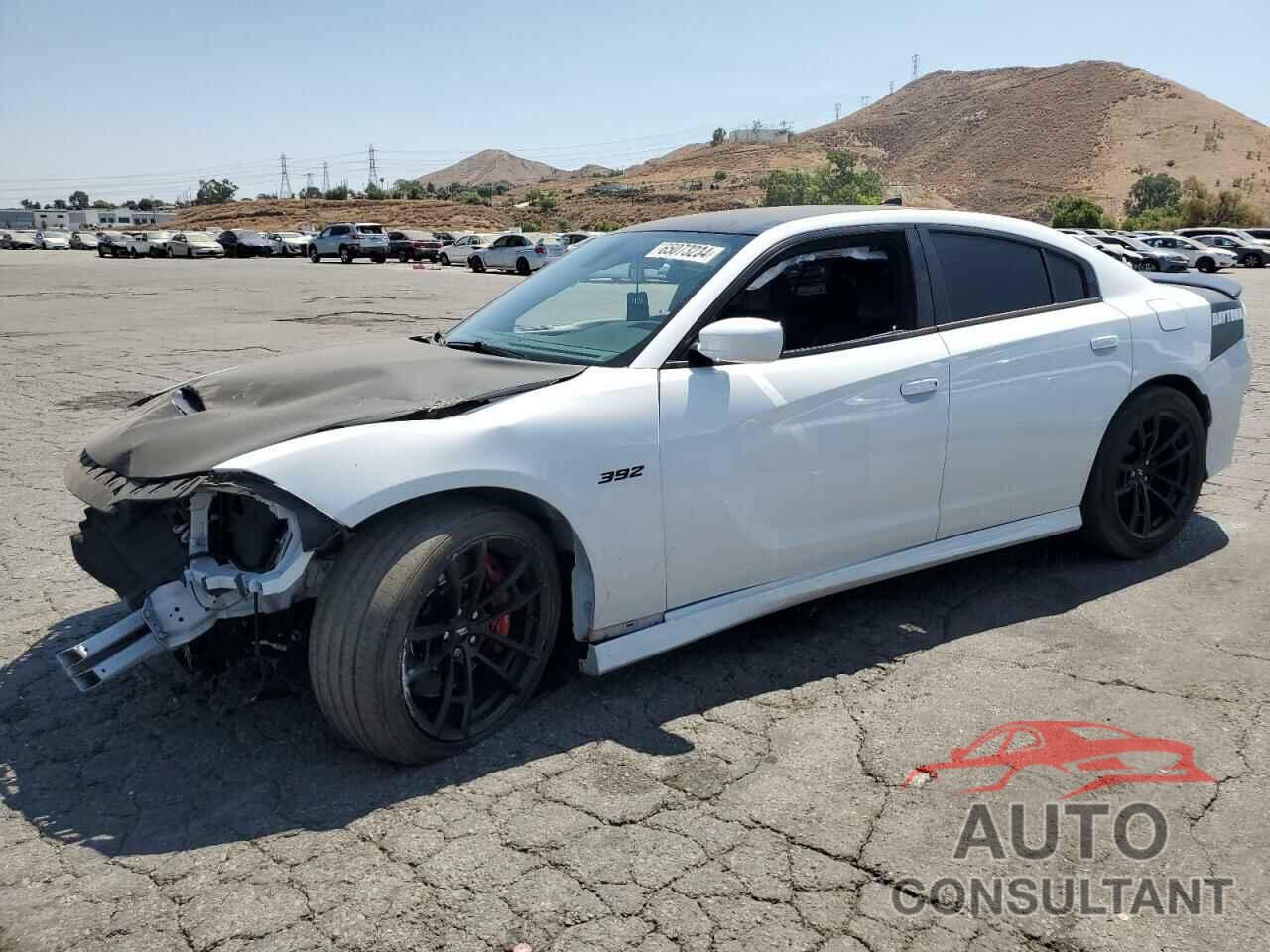 DODGE CHARGER 2018 - 2C3CDXGJ8JH253447