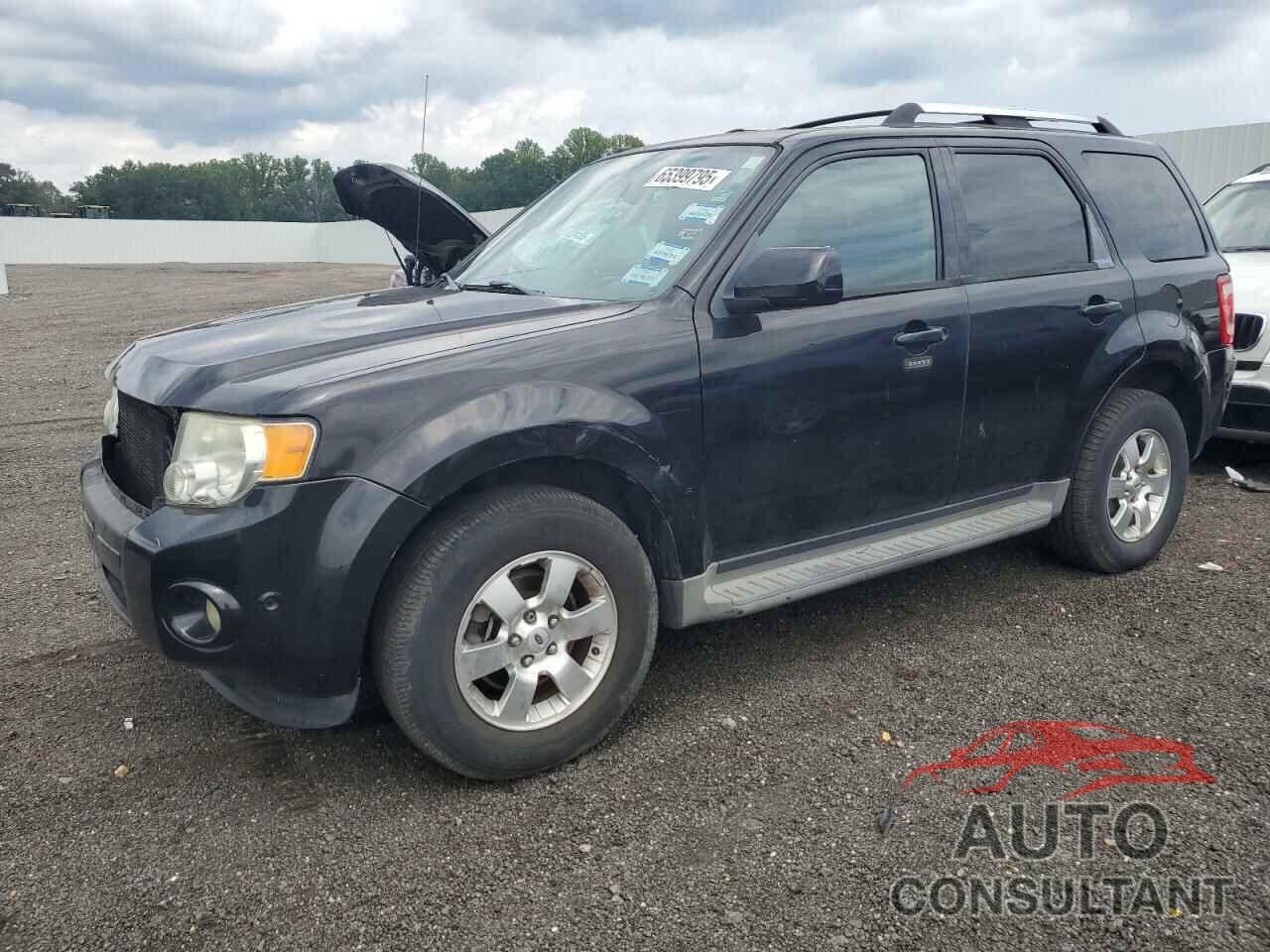 FORD ESCAPE 2011 - 1FMCU0EG7BKC48689