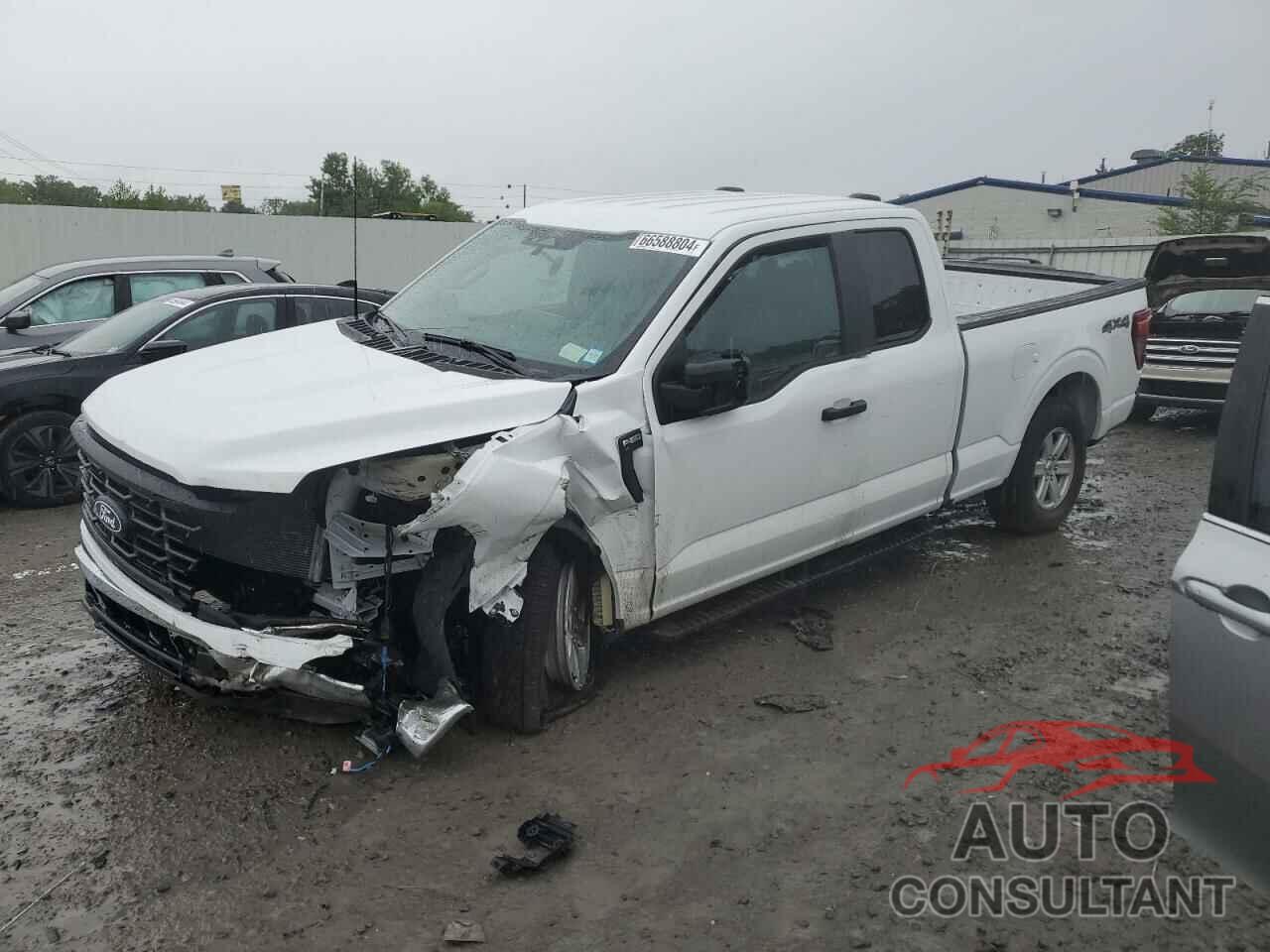 FORD F150 2024 - 1FTFX1L57RKD64520