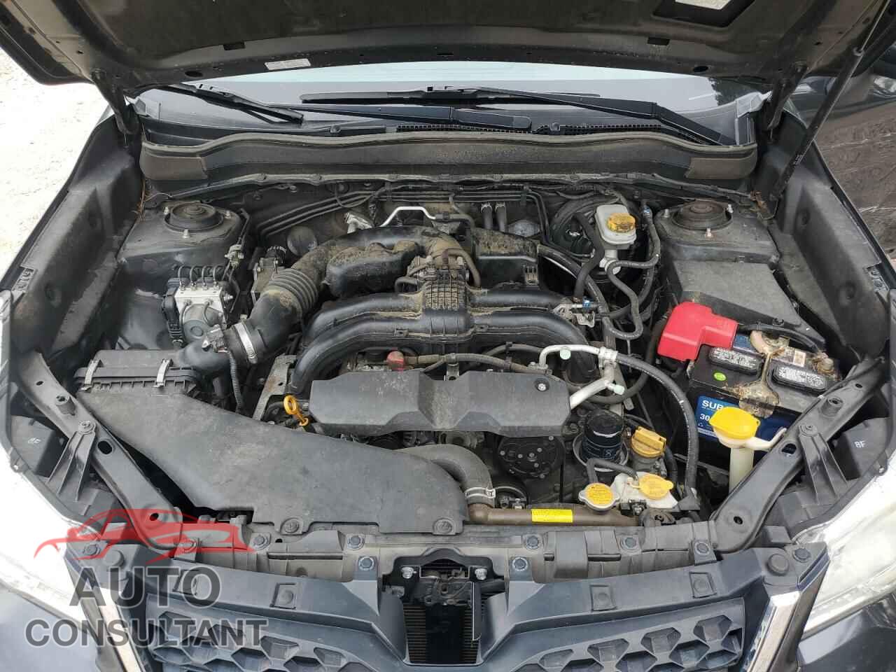 SUBARU FORESTER 2014 - JF2SJAEC4EH557213