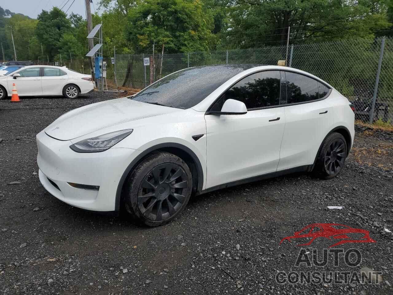 TESLA MODEL Y 2021 - 5YJYGDEE9MF184694