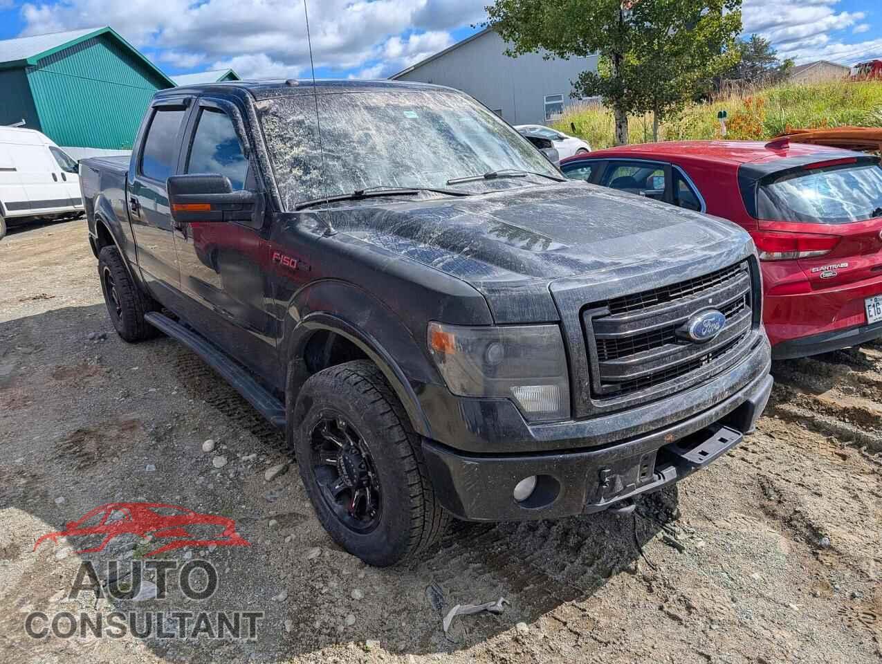 FORD F150 2013 - 1FTFW1EF3DFD20315