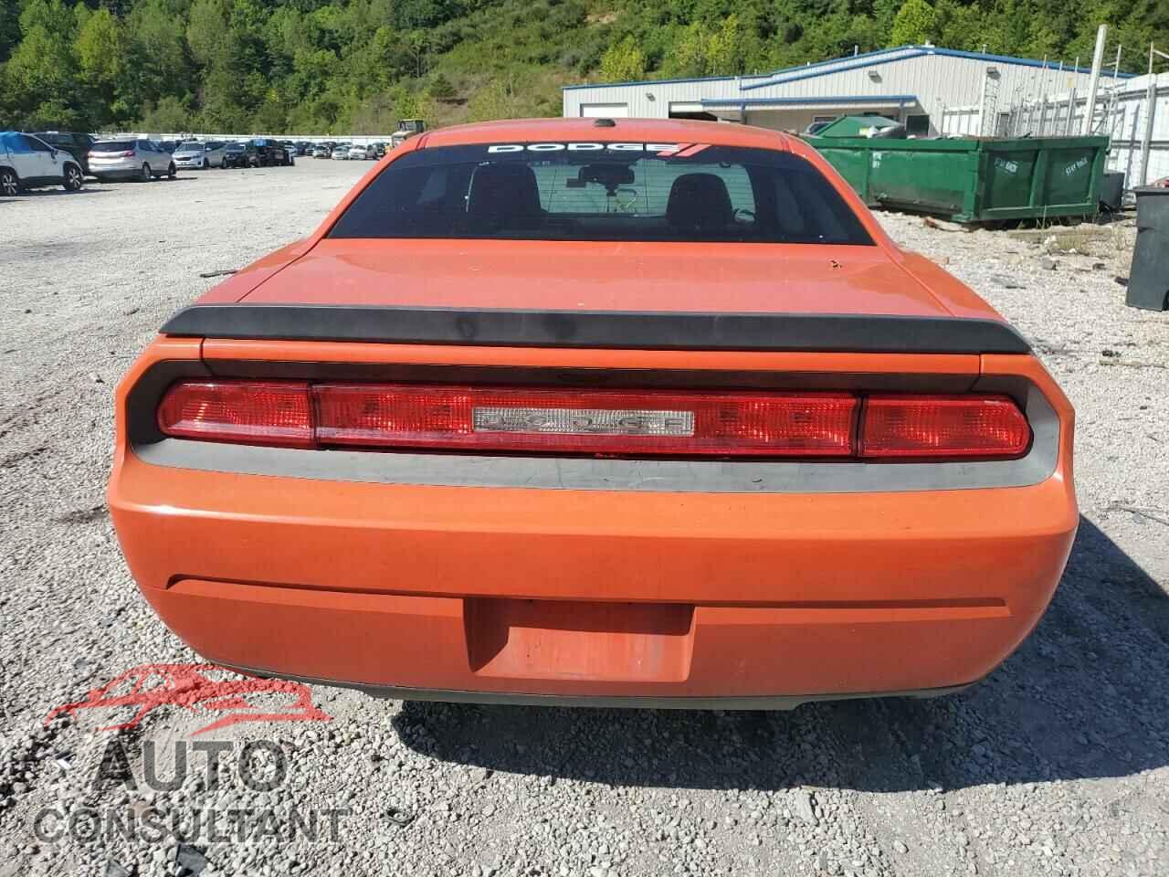 DODGE CHALLENGER 2013 - 2C3CDYBT6DH741878