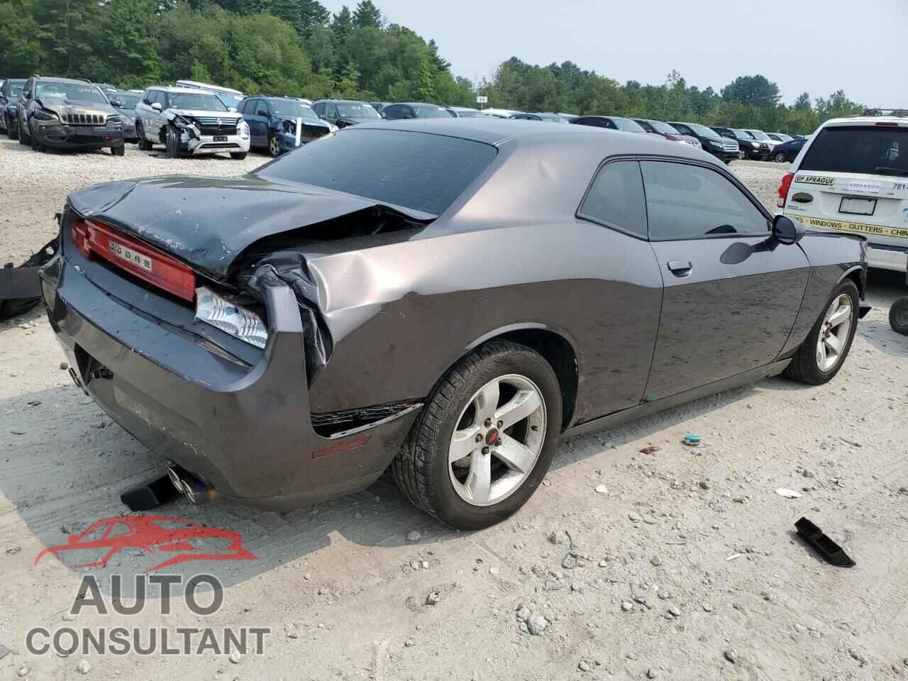 DODGE CHALLENGER 2013 - 2C3CDYAG9DH662807