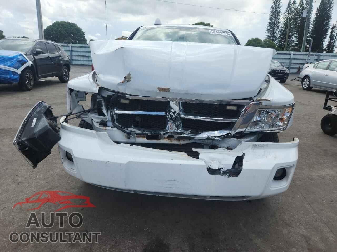 DODGE DAKOTA 2011 - 1D7RE2BKXBS566456