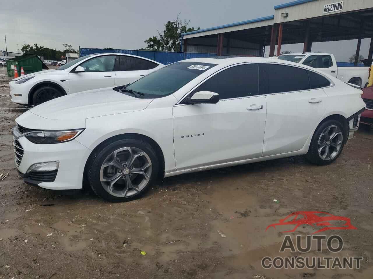 CHEVROLET MALIBU 2021 - 1G1ZD5ST8MF021240