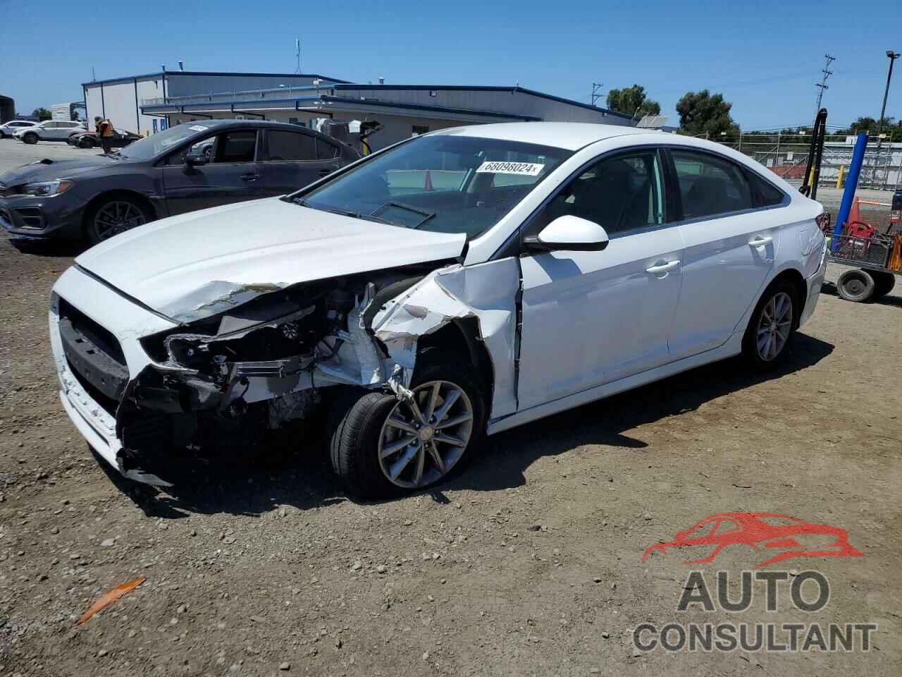 HYUNDAI SONATA 2019 - 5NPE24AFXKH753339