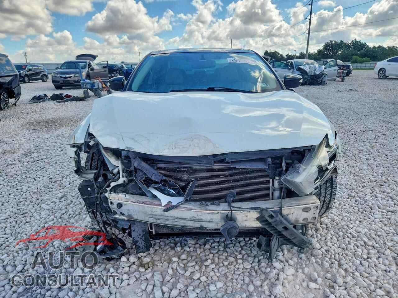 NISSAN MAXIMA 2017 - 1N4AA6AP3HC433487
