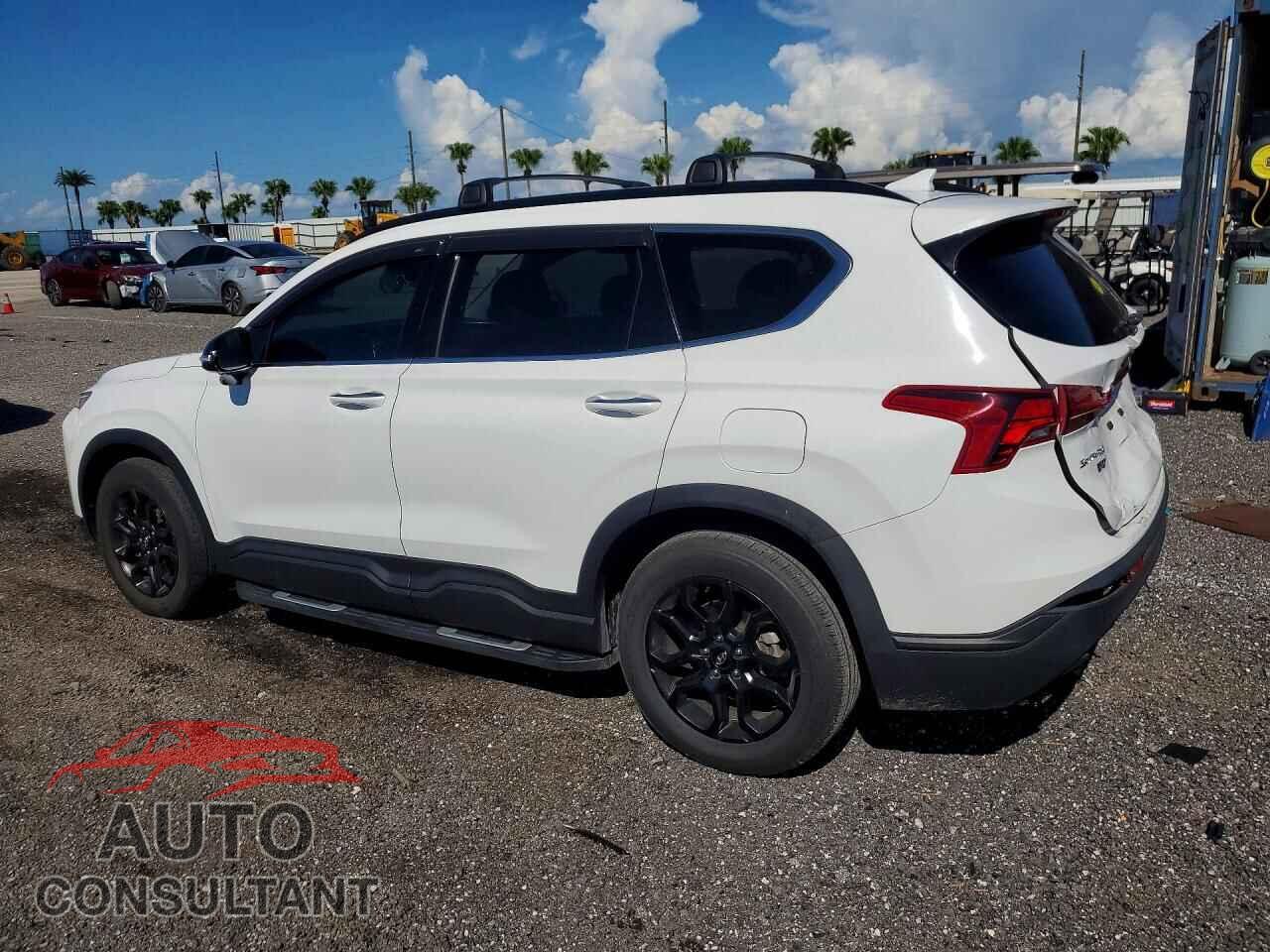 HYUNDAI SANTA FE 2023 - 5NMS64AJ8PH608218