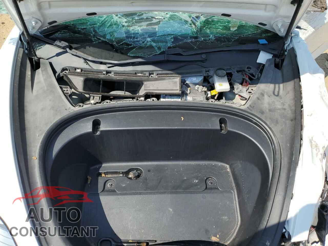 TESLA MODEL 3 2020 - 5YJ3E1EA3LF706374
