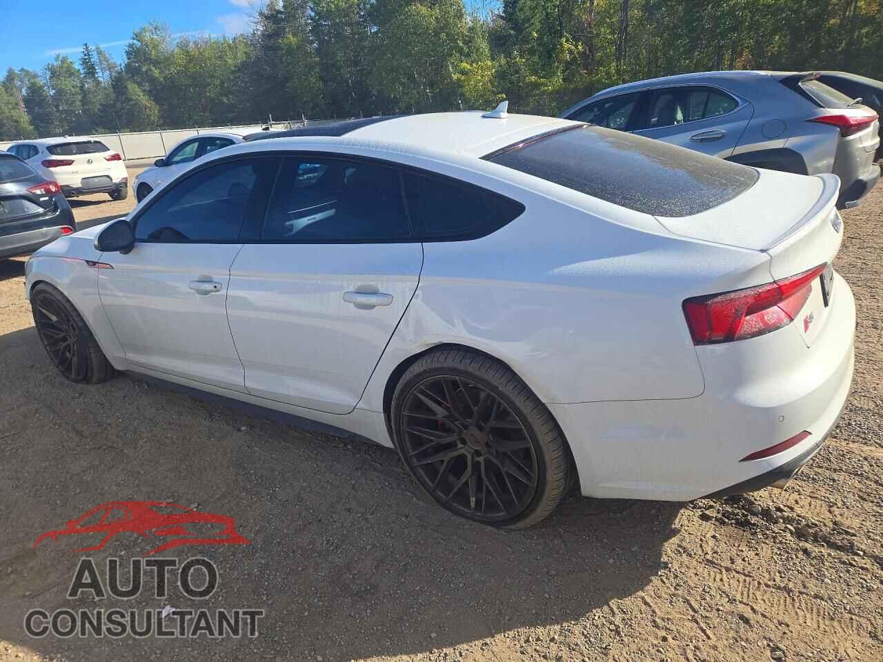 AUDI S5/RS5 2019 - WAUC4CF54KA042896