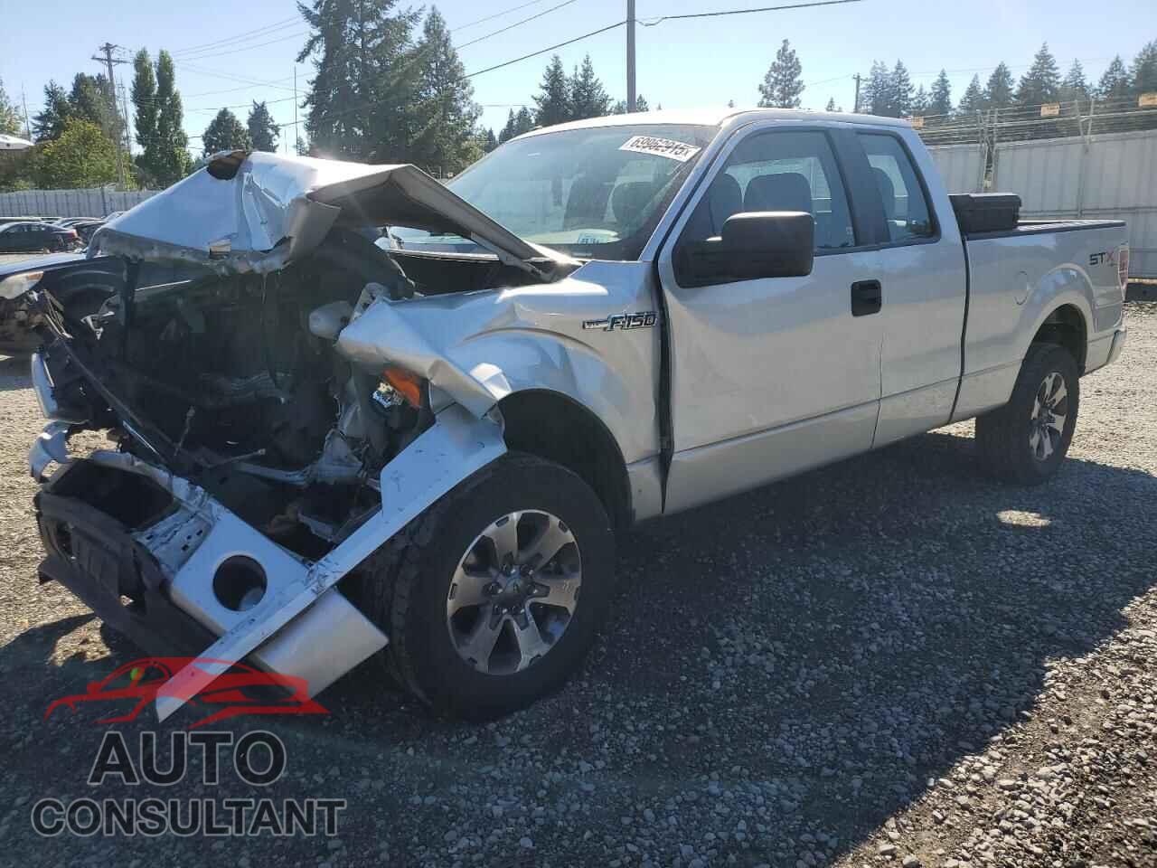 FORD F-150 2013 - 1FTFX1EF8DFD69782