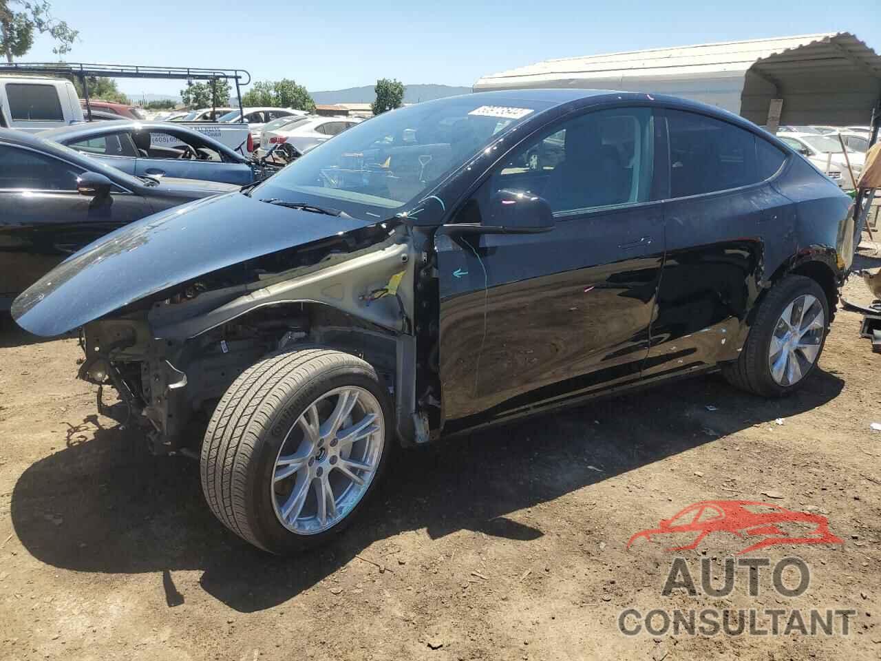 TESLA MODEL Y 2024 - 7SAYGDEE0RF987775