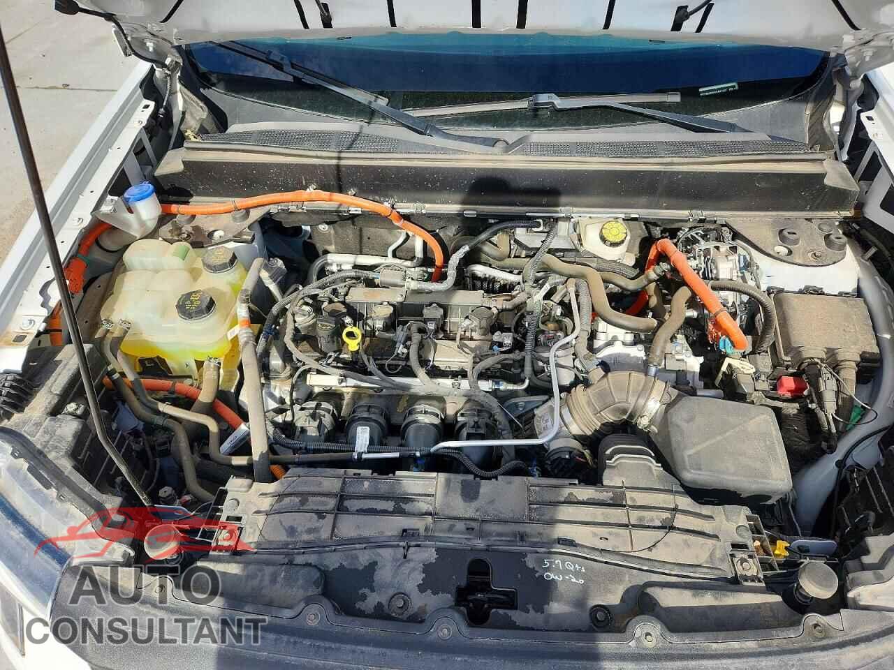 FORD MAVERICK 2025 - 3FTTW8B35SRA01357