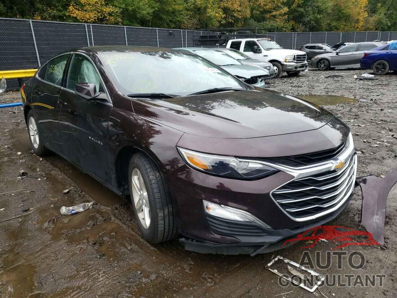 CHEVROLET MALIBU 2020 - 1G1ZC5ST0LF113170