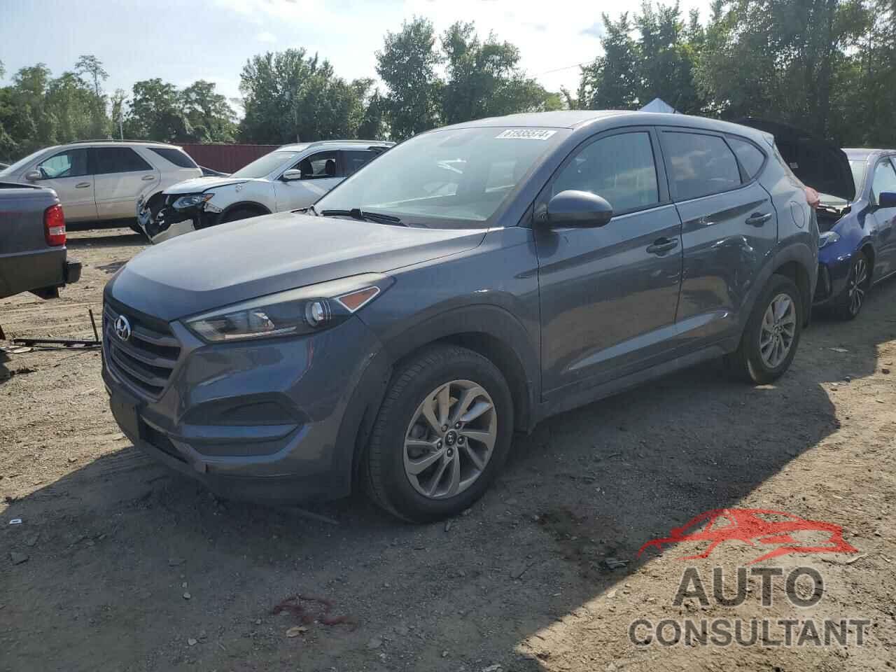 HYUNDAI TUCSON 2016 - KM8J23A43GU021912