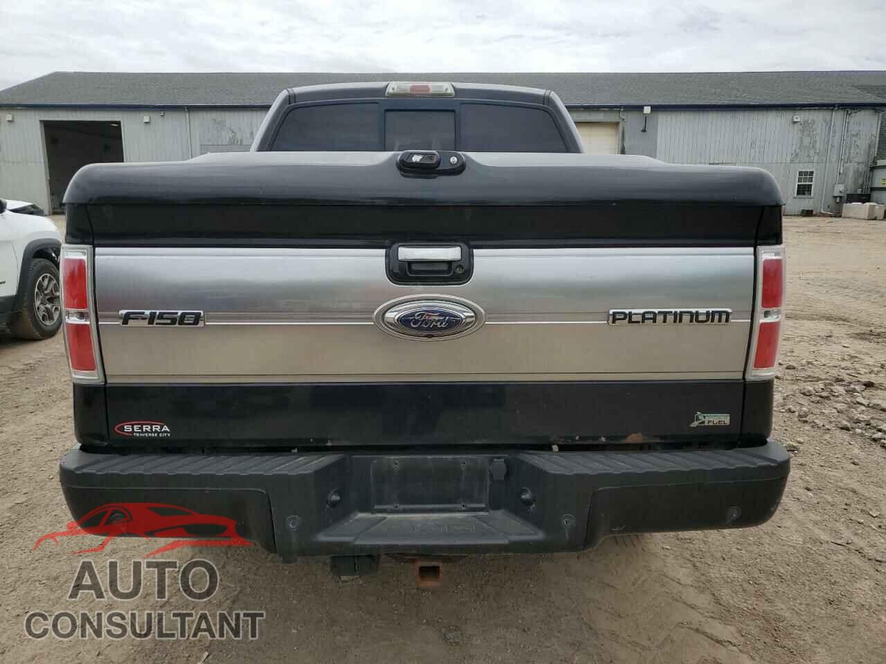 FORD F-150 2010 - 1FTFW1EV7AFD41557