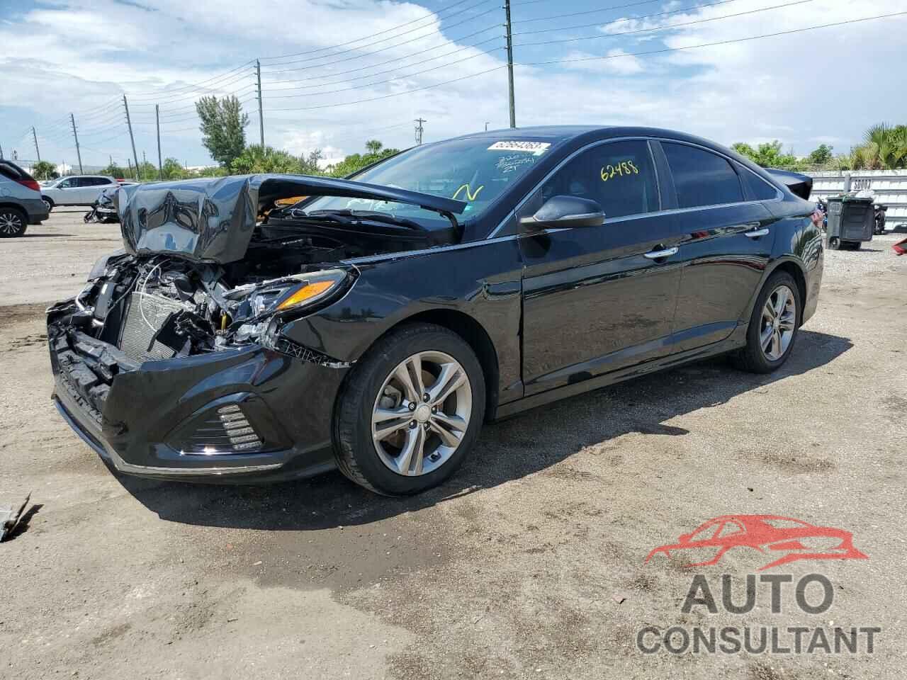 HYUNDAI SONATA 2019 - 5NPE34AF7KH736284