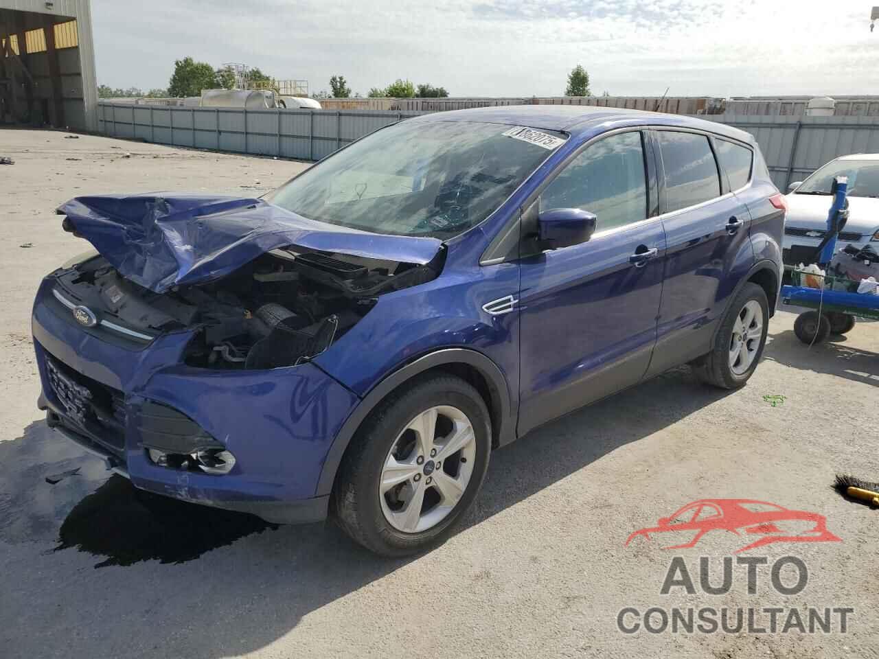 FORD ESCAPE 2014 - 1FMCU0GX8EUD86313