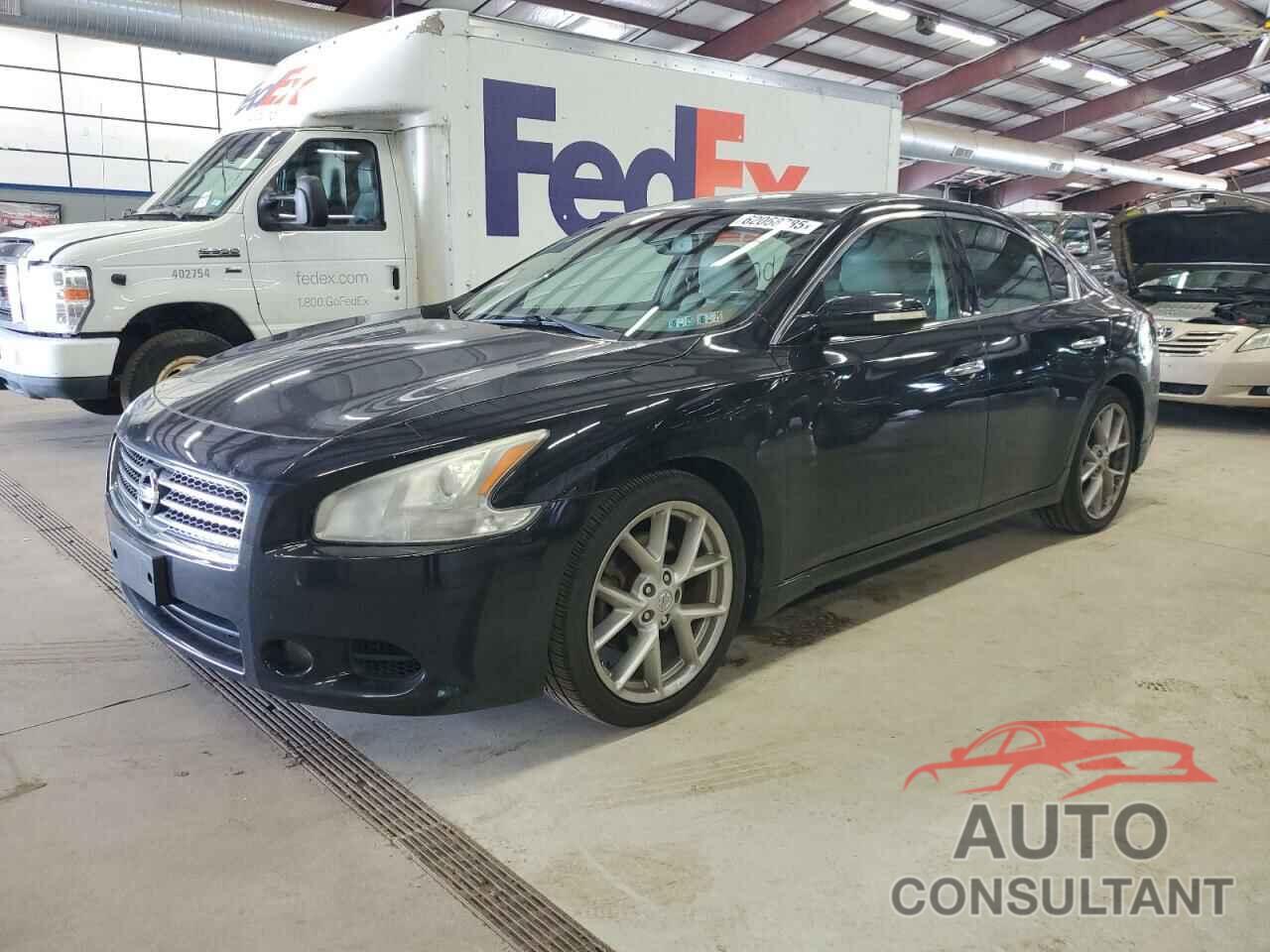 NISSAN MAXIMA 2009 - 1N4AA51E29C819022