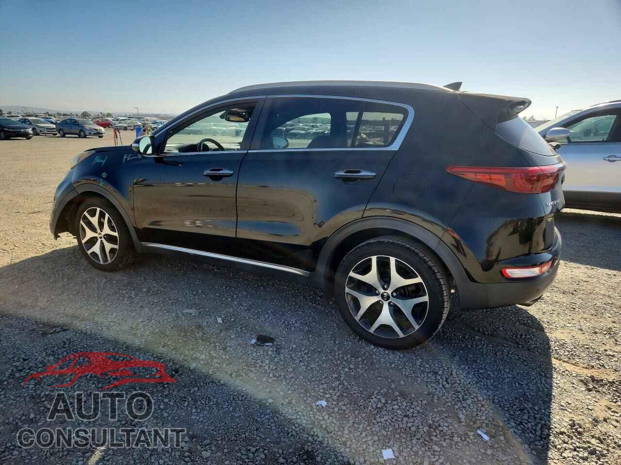KIA SPORTAGE 2017 - KNDPR3A69H7264247