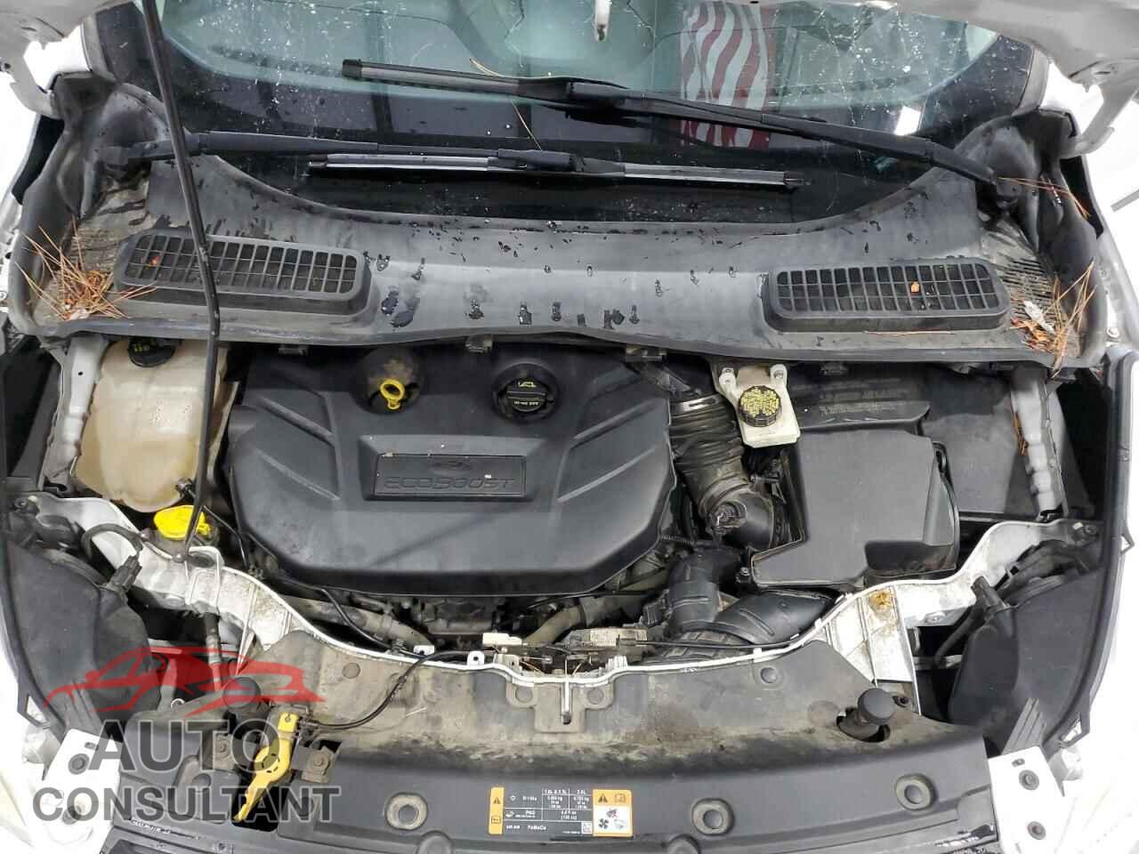 FORD ESCAPE 2014 - 1FMCU0G91EUD45295