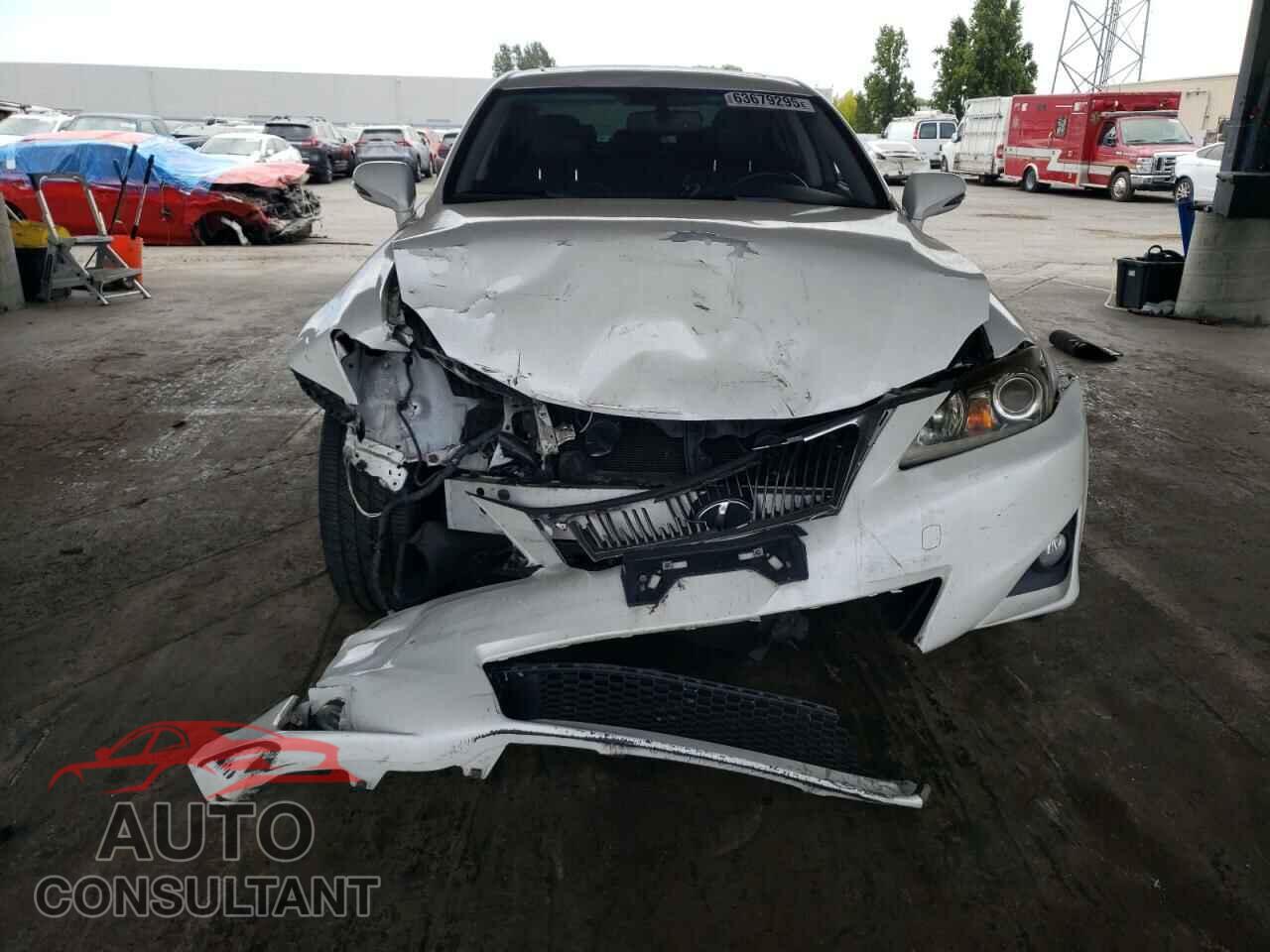 LEXUS IS 2013 - JTHBF5C29D5191006
