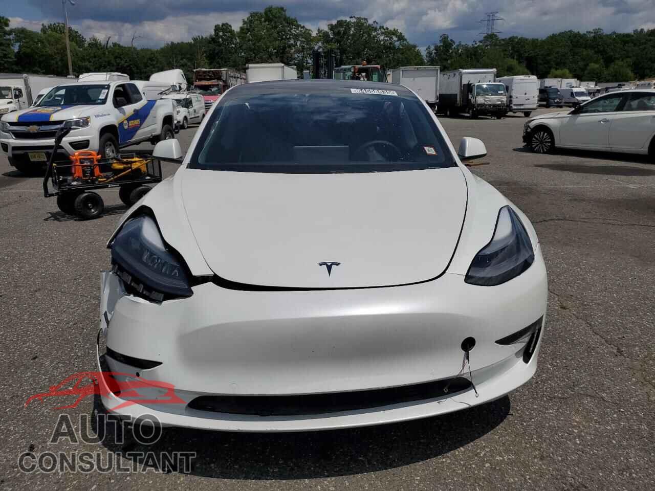 TESLA MODEL 3 2021 - 5YJ3E1EA7MF041884