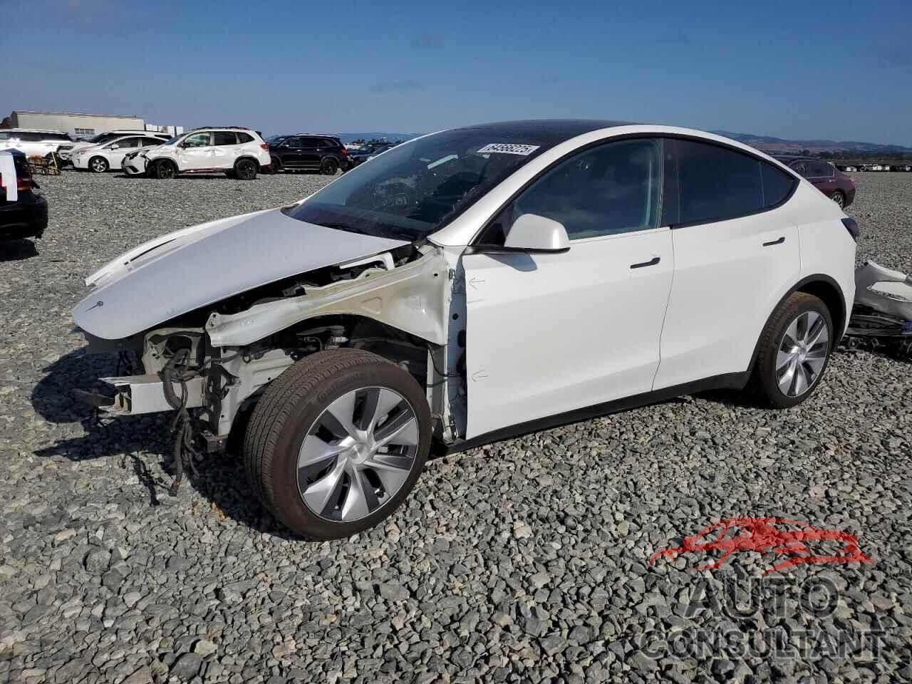 TESLA MODEL Y 2023 - 7SAYGDEE0PA096864