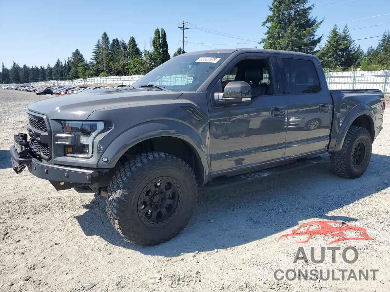 FORD F150 2020 - 1FTFW1RG9LFA94427