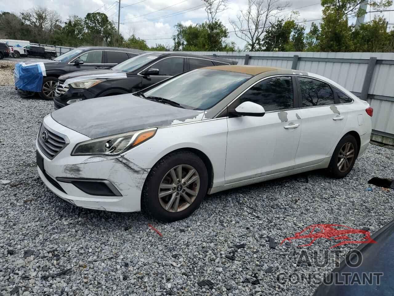 HYUNDAI SONATA 2017 - 5NPE24AF7HH494124