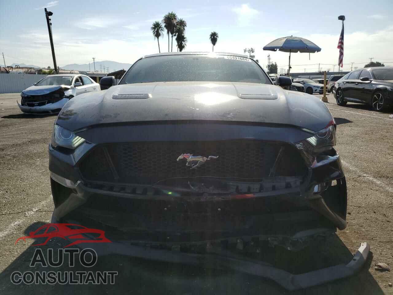 FORD MUSTANG 2019 - 1FA6P8CF7K5125576