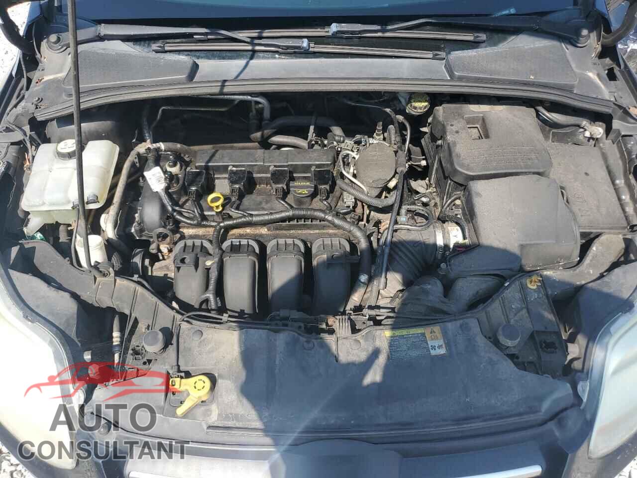 FORD FOCUS 2012 - 1FAHP3K20CL299836