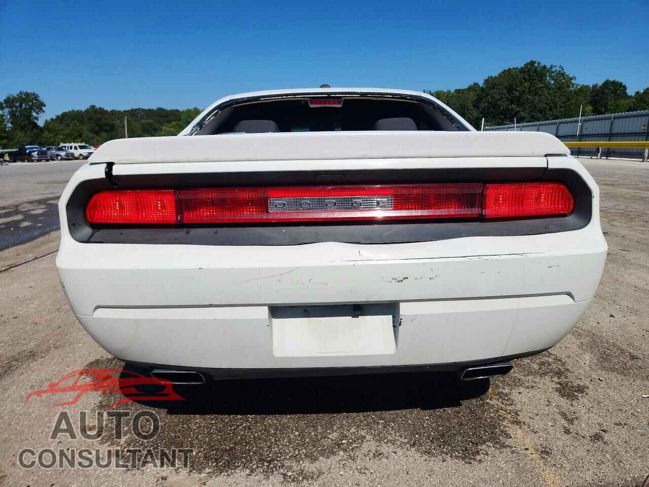 DODGE CHALLENGER 2013 - 2C3CDYAG8DH540486