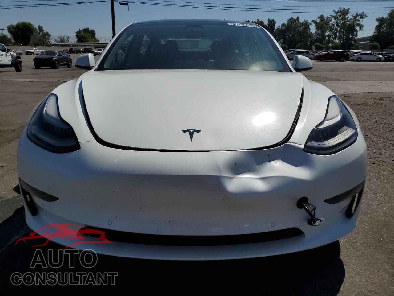 TESLA MODEL 3 2021 - 5YJ3E1EA3MF097496